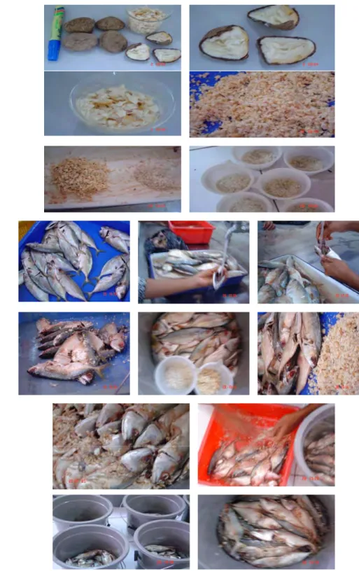 Gambar 8  Dokumentasi  Alur Proses Aplikasi Penambahan Campuran    Biji Picung dan Garam pada Ikan Kembung Segar 