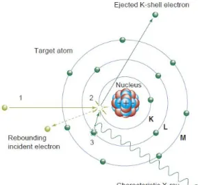 Gambar 2. 2 Ilustrasi sinar-X karakteristik dihasilkan (Bushberg et al., 2012)  
