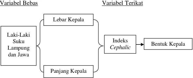 Gambar 2. Berbagai Hubungan Antarvariabel 