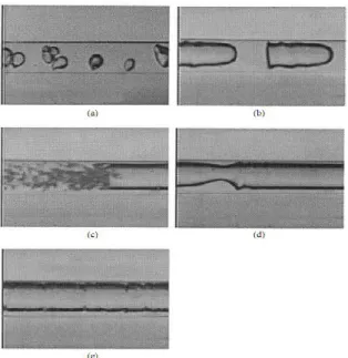 Gambar 3. Foto dari pola aliran pada seksi uji  berdiameter 1,097 mm dari Triplett dkk.[3] 