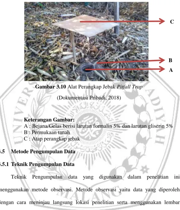 Gambar 3.10 Alat Perangkap Jebak Pitfall Trap  (Dokumentasi Pribadi, 2018) 