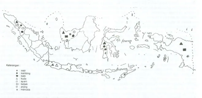 Gambar 1. Distribusi antibodi virus Japanese-B-Encephalitis pada ternak dan manusia di Indonesia 