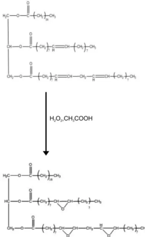Gambar  8  Reaksi  epoksidasi  minyak  jarak  pagar. 