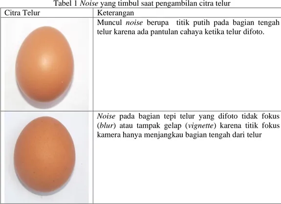 Tabel 1 Noise yang timbul saat pengambilan citra telur 