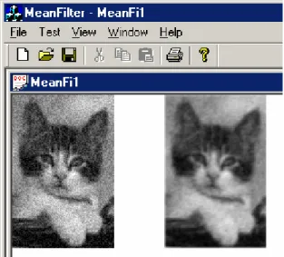 Gambar 7.15. Hasil Filter rata-rata 