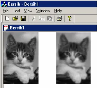 Gambar 6.8. Contoh hasil filter dengan konvolusi 