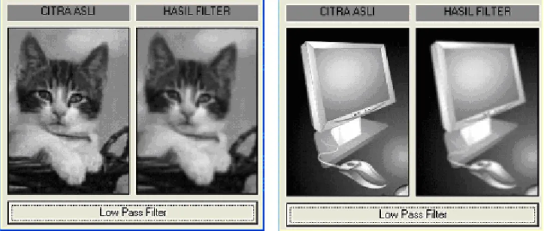 Gambar 6.6 Hasil LPF untuk gambar kucing dan komputer 