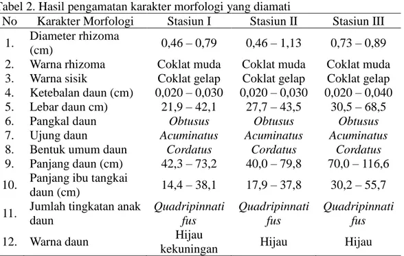 Tabel 2. Hasil pengamatan karakter morfologi yang diamati 