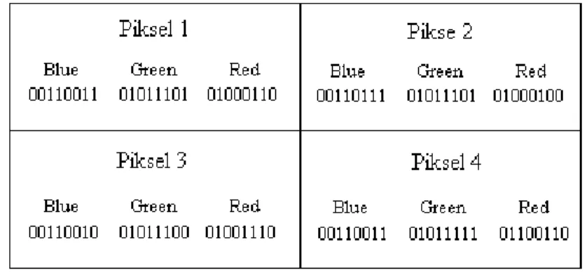 Gambar 2.3 Ilustrasi pixel citra-cover 