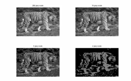 Gambar 3.3. Contoh thresholding 