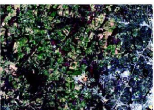 Gambar 2. 15 Citra True Color dari Landsat 7 