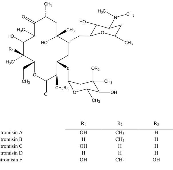 Gambar 1.  Struktur Eritromisin (Omura &amp; Tanaka,1984)