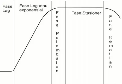 Gambar 3. Grafik fase pertumbuhan sistem batch (Stanbury dkk, 2003)