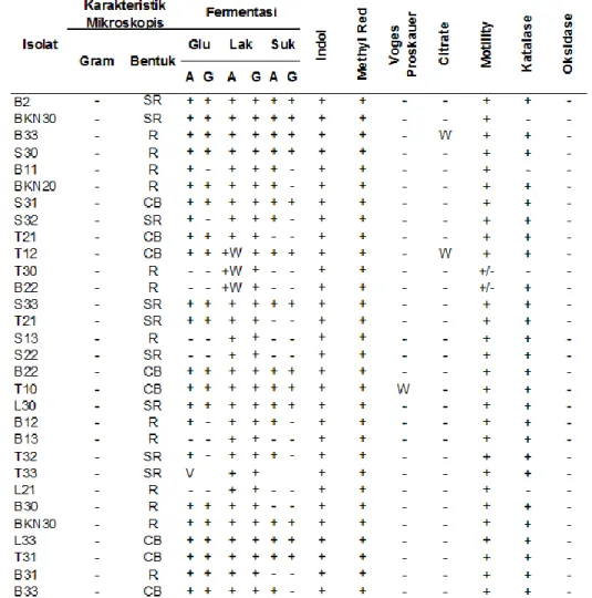 Tabel 2.  Hasil Pengujian Biokimia isolat E. coli  diisolasi dari perairan pantai Manado