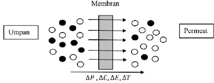 Gambar  2.2  Proses  pemisahan  dengan  membran  (Mulder,  1992). 