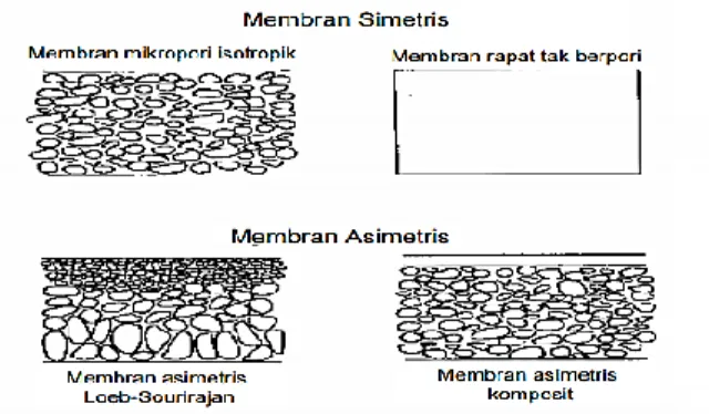 Gambar  2.3  Penampang  Membran  Simetris  dan  Asimetris  (Mulder, 1992). 