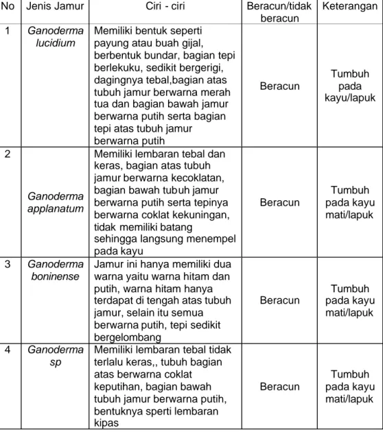 Tabel  2. Identifikasi Hasil Pengamatan Jamur Makro di Arboretum Politeknik  Pertanian Negeri Samarinda 