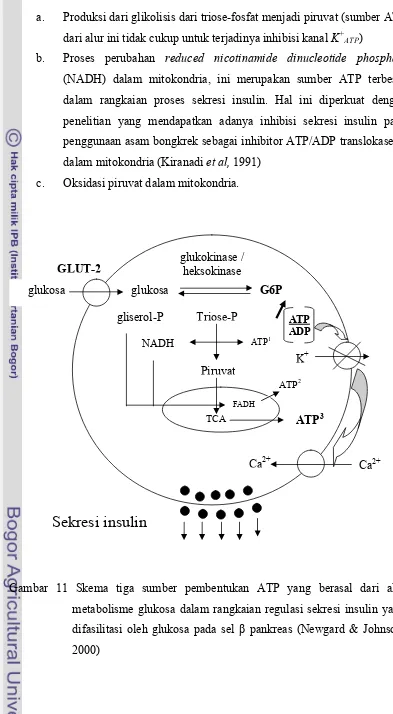 Gambar 11 Skema tiga sumber pembentukan ATP yang berasal dari alur 