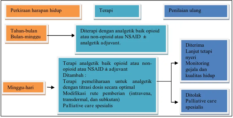 Gambar 4. Palliative care nyeri kanker (Dexter, 2013)