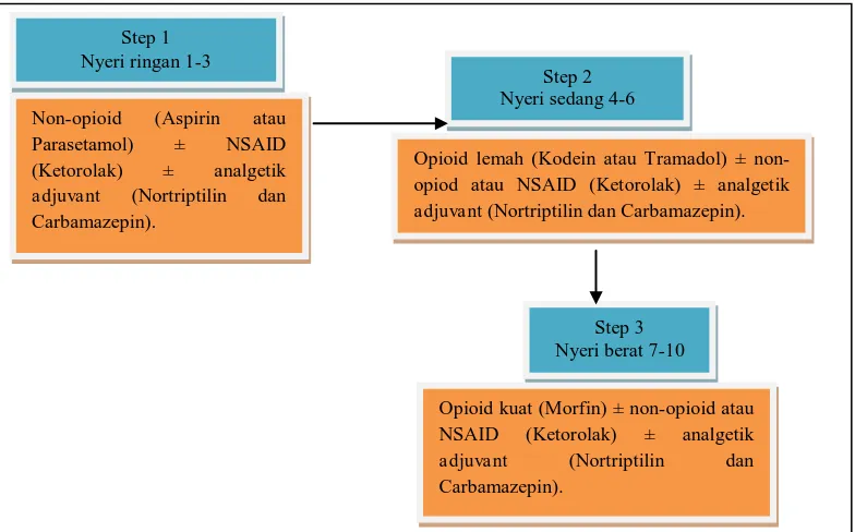 Gambar 3. Terapi nyeri untuk pasien kanker (Ripamonti et al., 2012; Swarm et al., 2014).