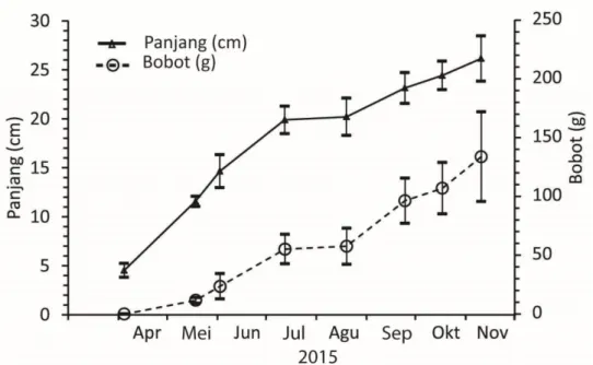 Gambar 3. Rerata panjang (segi tiga isi) dan bobot (lingkaran kosong) serta masing-masing simpangan baku  (garis bar) ikan bandeng di Waduk Sermo pada April-Oktober 2015 tahun 2015 