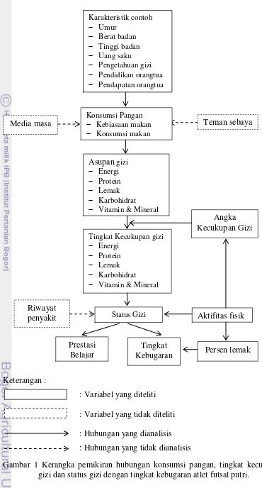 Gambar 1 Kerangka pemikiran hubungan konsumsi pangan, tingkat kecukupan 