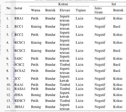 Tabel 1 Karakteristik isolat bakteri nitrifikasi 