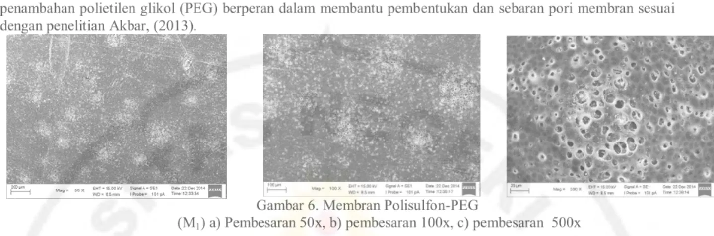 Gambar 6. Membran Polisulfon-PEG 