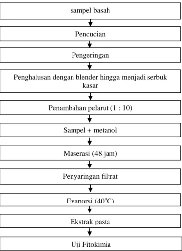 Gambar 1. Diagram Alir Pembuatan Ekstrak Antibakteri Lamun Thalassia hemprichii  Sumber : Dewi et al