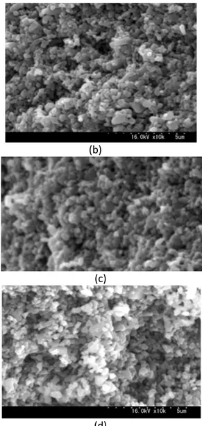 Gambar 1.  Hasil SEM sampel silika keramik yang  disintering menggunakan microwave  dan tanur pada  suhu 1000   o C dan 1100 o C pembesaran gambar  5000  kali  Keterangan:    (a)