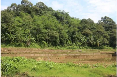 Gambar 3.10: Bendungan Dusun Sentuk, Desa Bangun Jaya
