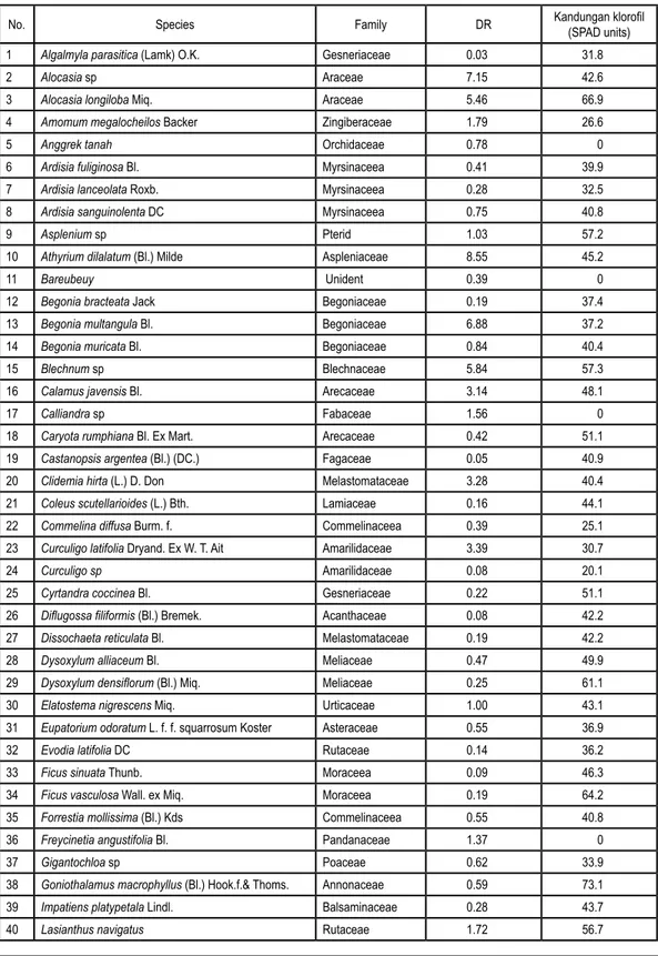 Tabel 1. Nilai persentase penutupan (DR) dan nilai kandungan klorofil jenis – jenis tumbuhan bawah  di kawasan hutan Taman Nasional Gunung Halimun – Salak, Jawa Barat