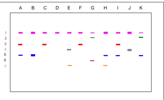 Gambar 2.  Zimogram  Elektroforesis  Isoenzim  MDH  pada  tanaman  salak  Bangkalan,  dimana  A=  pandan,  B=penjalin,  C=kerbau,  D=nangka,  E=papaya  F=mangga,  G= 