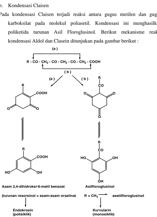 Gambar X. Mekanisme reaksi kondensasi aldol dan clasein   (a) Kondensasi Tipe Koronat 