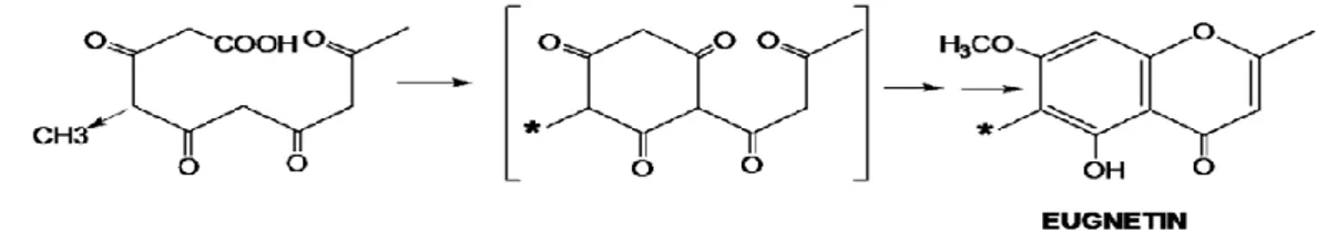 Gambar 21. Contoh modifikasi sekunder reaksi metilasi 