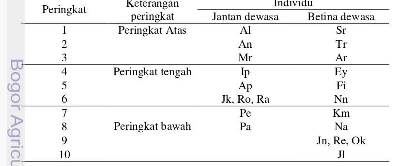 Tabel 1  Peringkat individu jantan dan betina M. fascicularis di Telaga Warna 