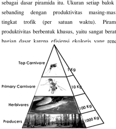 Gambar 3.5. Piramida produktivitas 