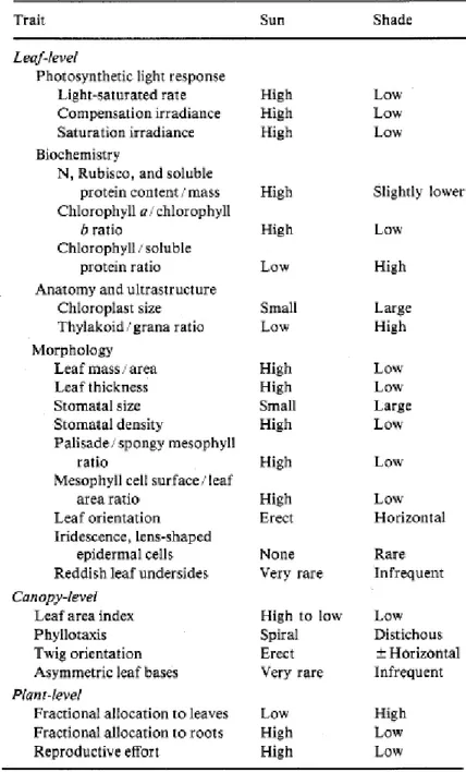 Tabel 2.1. Perbedaan tumbuhan heliofita dan siofita    