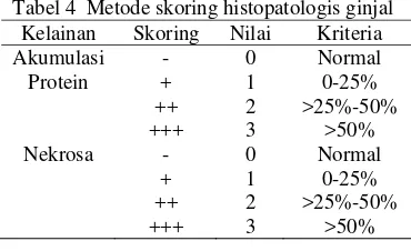 Tabel 4  Metode skoring histopatologis ginjal 