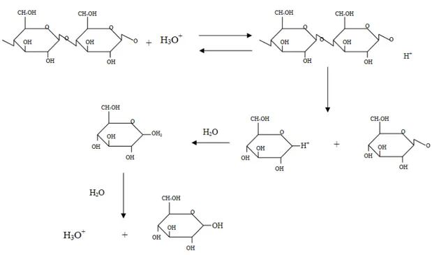 Gambar 4.3 Mekanisme hidrolisis pati dengan katalis asam