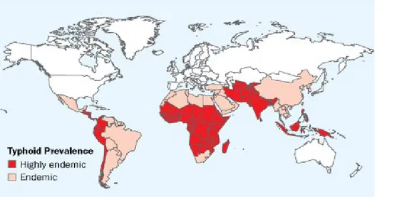Gambar 2.1. Distribusi global daerah endemik dari Salmonella Enteric serotipe Typhi, 1990- 1990-2002