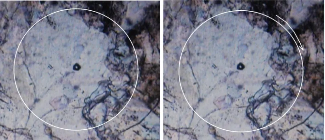 Gambar 1.11. Kenampakan sayatan tipis pada mikroskop  yang  telah  sentring. Setelah meja  obyek diputar, titik yang yang terdapat di tengah medan pandangan, tetap pada posisinya.