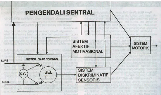 Gambar 1.. Teori Gate Control (Walton, 1998) 