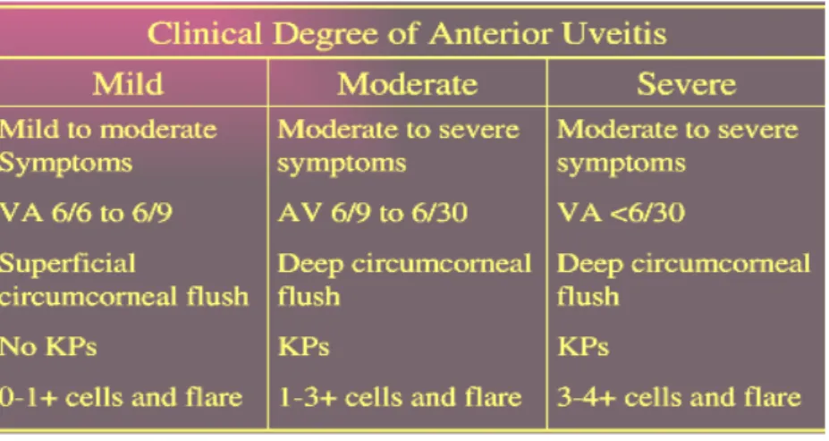Tabel 3. Klasifikasi tanda-tanda klinis uveitis anterior berdasarkan keparahan 