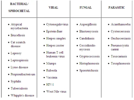 Tabel 1. Etiologi uveitis anterior berdasakan agen penyebab infeksi