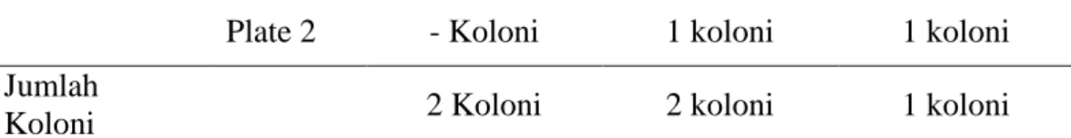Tabel  2.  Jumlah  pertumbuhan  koloni  bakteri  Salmonella  sp  pada  pengambilan  sampel  sore  hari  pukul 16.00 wib