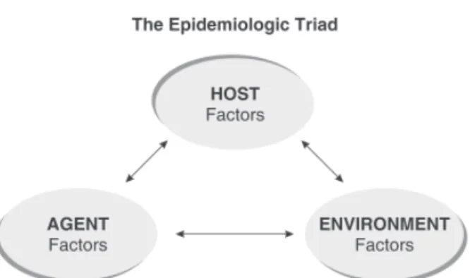 Gambar 5. Trias Epidemiologi dengan agen dan host sebagai  bagian dari lingkungan (dibuat sendiri oleh penulis)