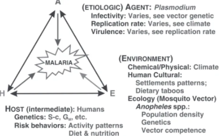 Gambar 7. Trias Epidemiologi pada kasus Malaria