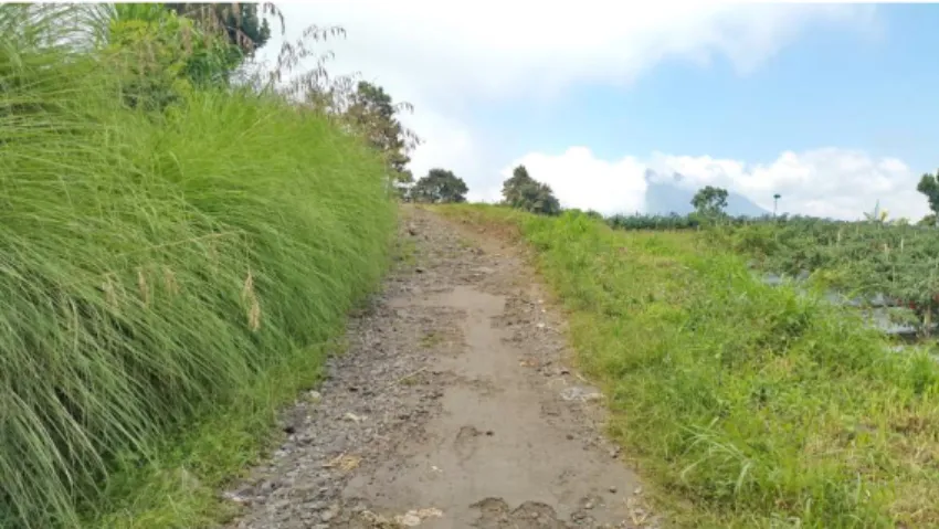 Gambar 4.7: Jalan Utama Menuju Desa Belandingan  Sumber: Hasil Penelitian, 2015 