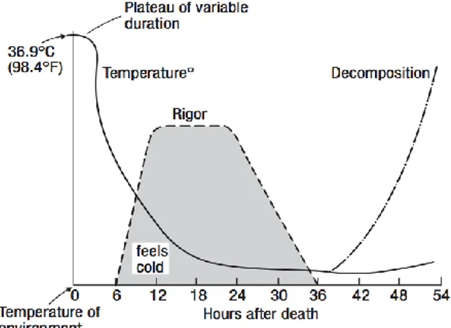 Gambar 1 : Urutan munculnya tanda kematian pasti pada suhu ruangan, dengan catatan  suhu tubuh tidak menurun dalam satu jam pertama